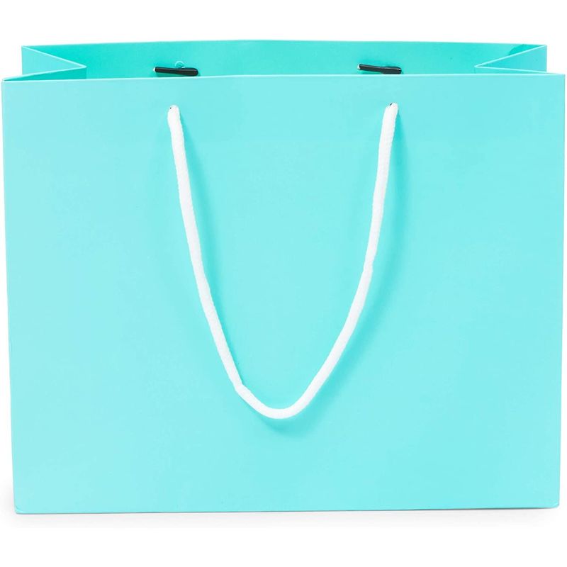 Teal Gift Bags with Handles, Medium Size (10 x 8 x 4 in, 20 Pack)