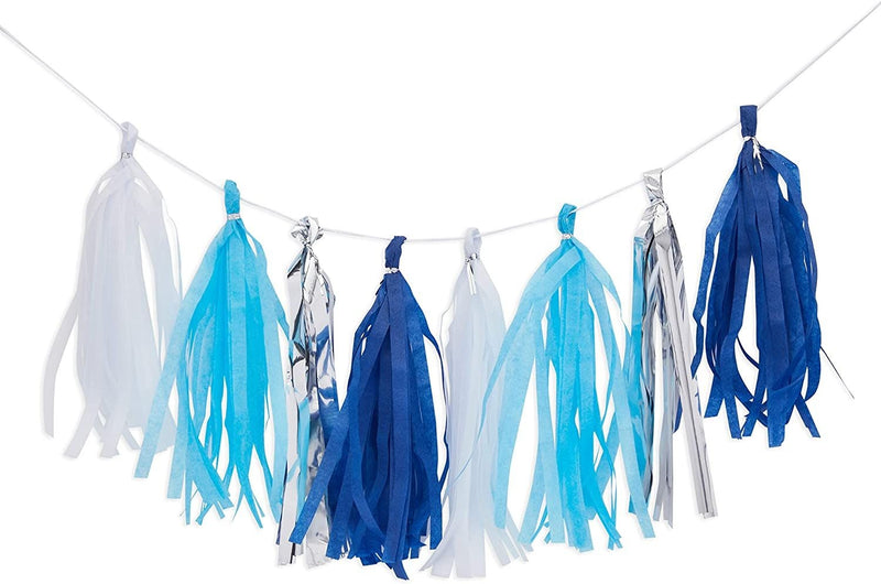 Blue & Silver Boy 1st Birthday Party Decorations, Balloons, Cake Topper and Tassels