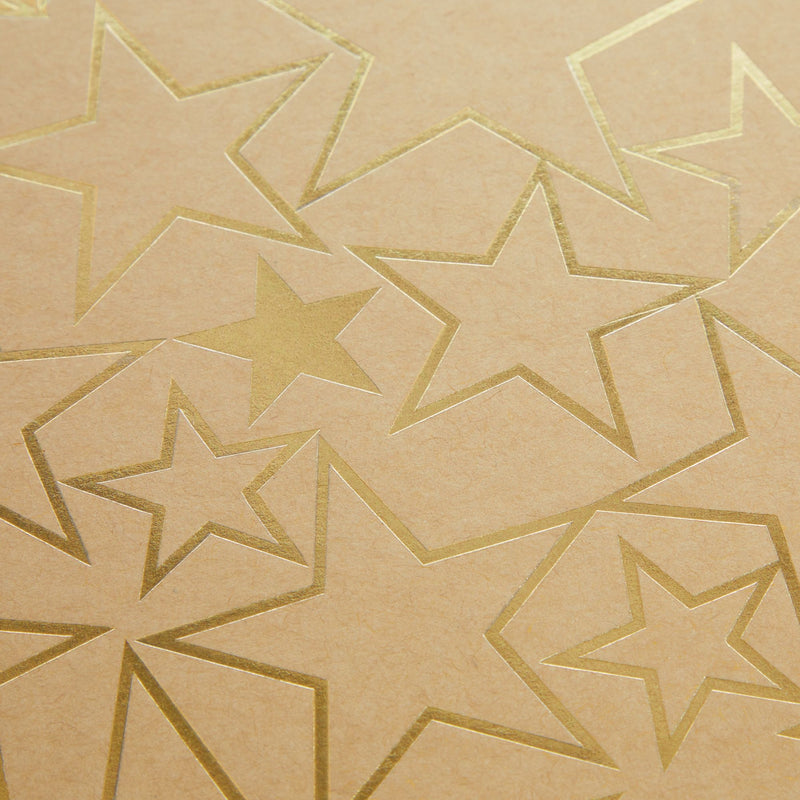 Set of 10 Nesting Gift Boxes with Lids, Cardboard Box with Gold Foil Star Designs (10 Sizes)